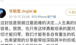 娱乐圈塌房吃瓜小说,揭秘明星塌房背后的真相与瓜料